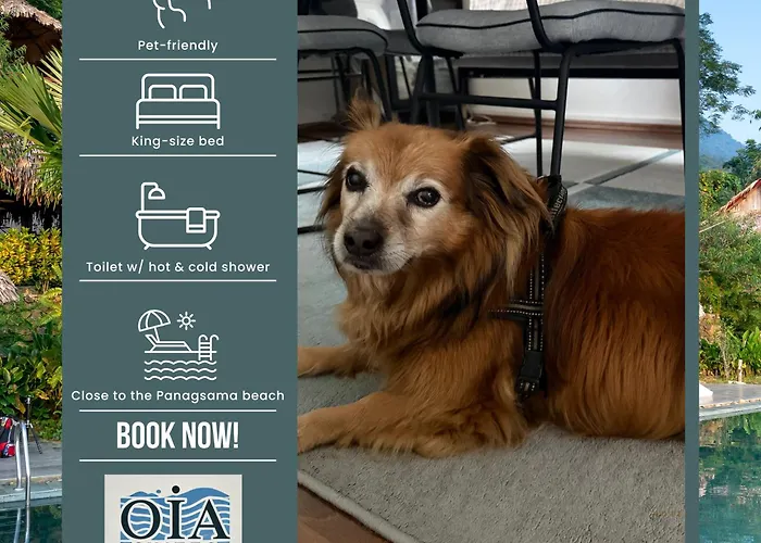 B&B Oia 몰볼